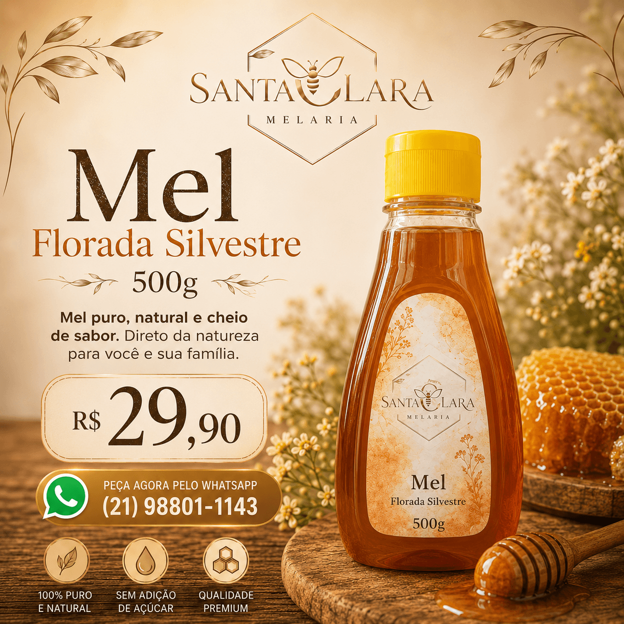 Mel da Santa Clara Melaria